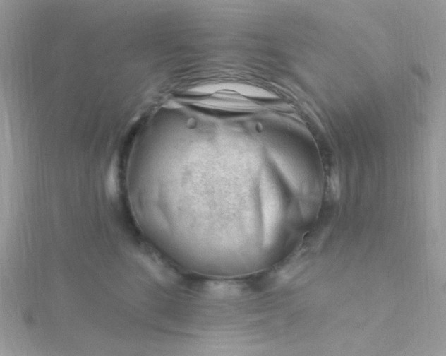X0000115810520200911271119