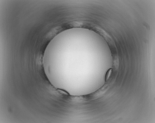 X0000115810525200911271119