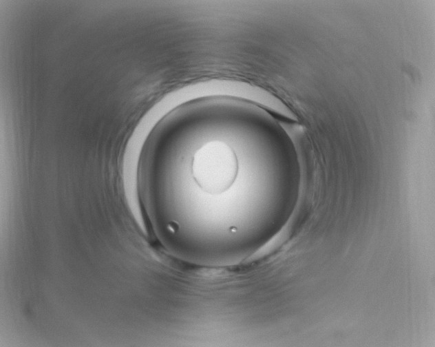 X0000115810528200911271119