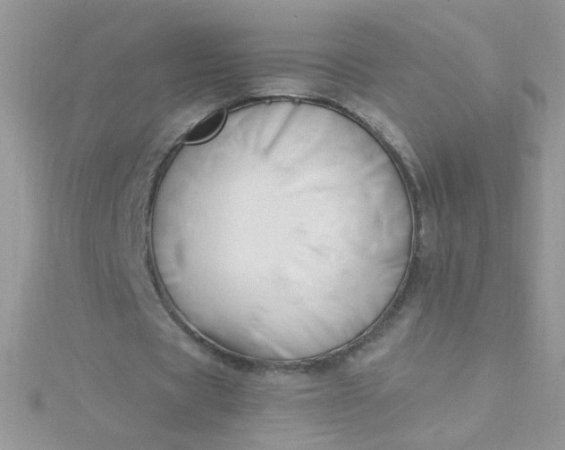 X0000115810529200911271118