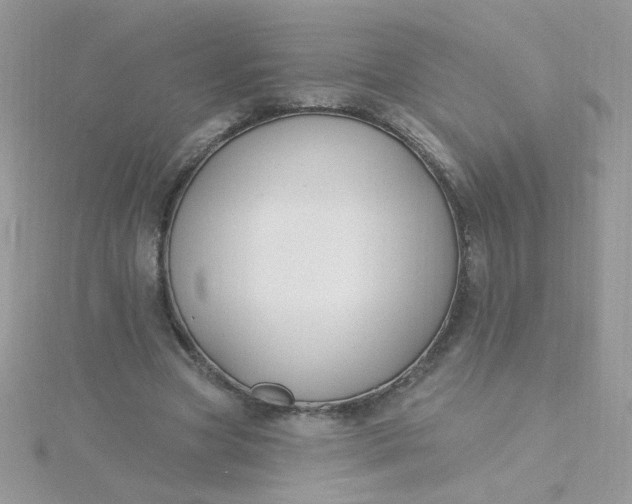 X0000115810537200911271118