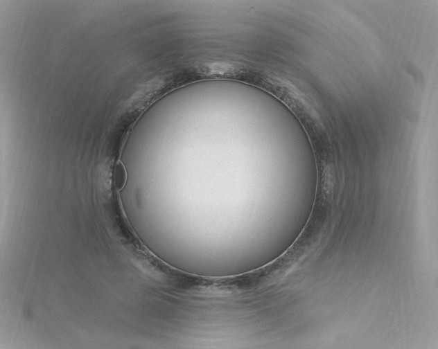 X0000115810545200911271118