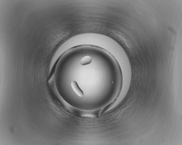 X0000115810546200911271118