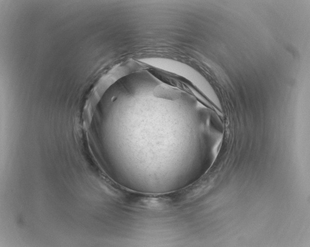 X0000115810558200911271119