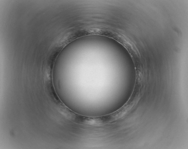 X0000115810561200911271119