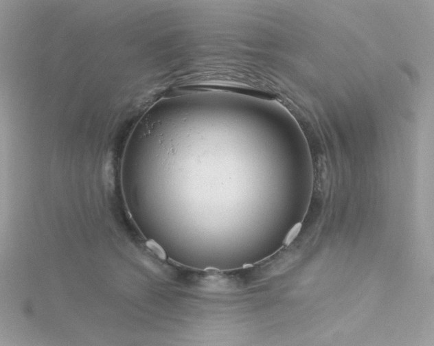 X0000115810562200911271119