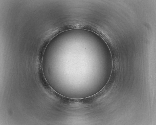 X0000115810594200911271118