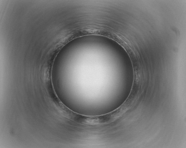 X0000115810606200911271118