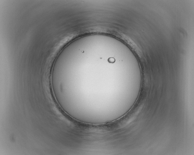 X0000115810625200911271117
