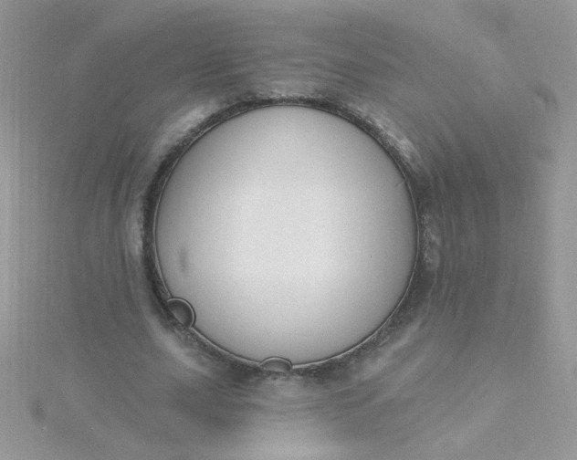 X0000115810631200911271117