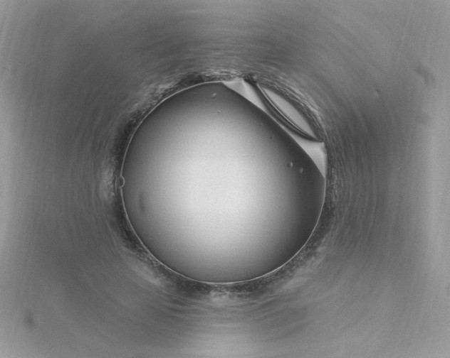 X0000115810641200911271117