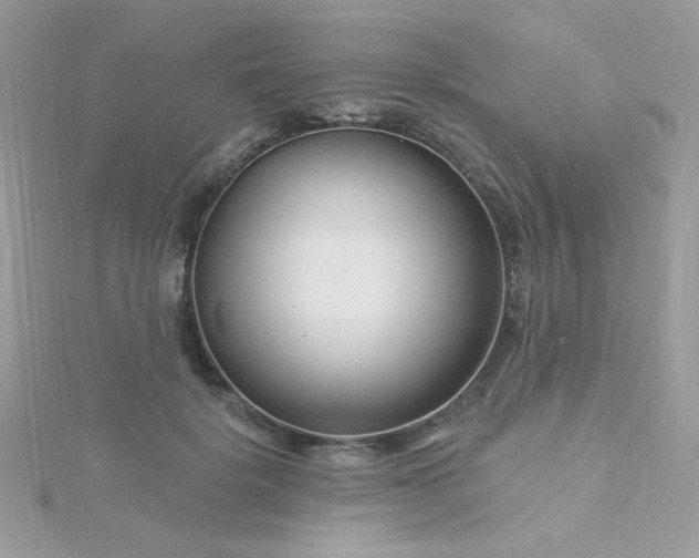 X0000115810652200911271117