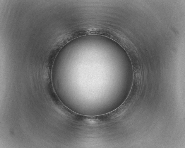 X0000115810654200911271117