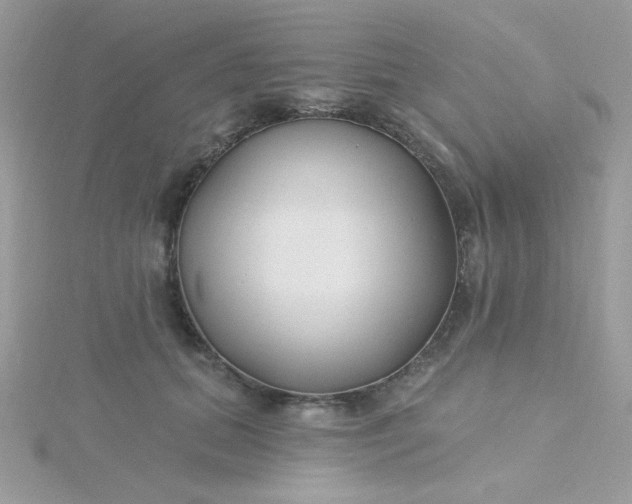 X0000115810655200911271117