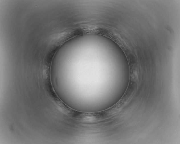 X0000115810658200911271117