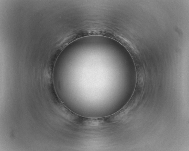 X0000115810661200911271117