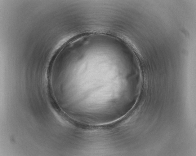 X0000115810674200911271117
