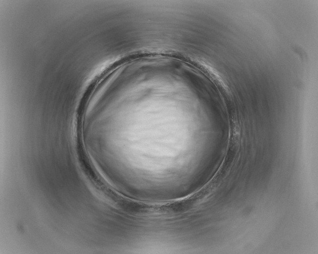 X0000115810678200911271117