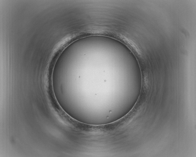 X0000115810682200911271117