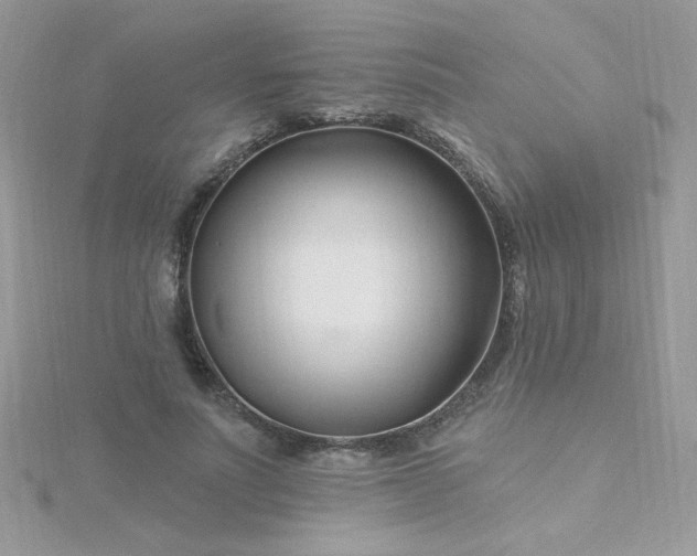 X0000115810691200911271117