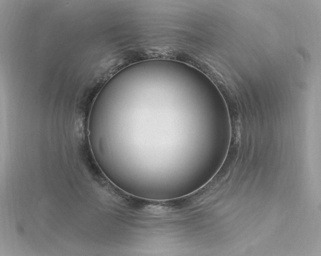 X0000115810699200911271116