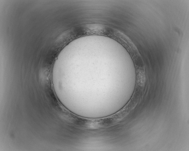 X0000115810701200911271116