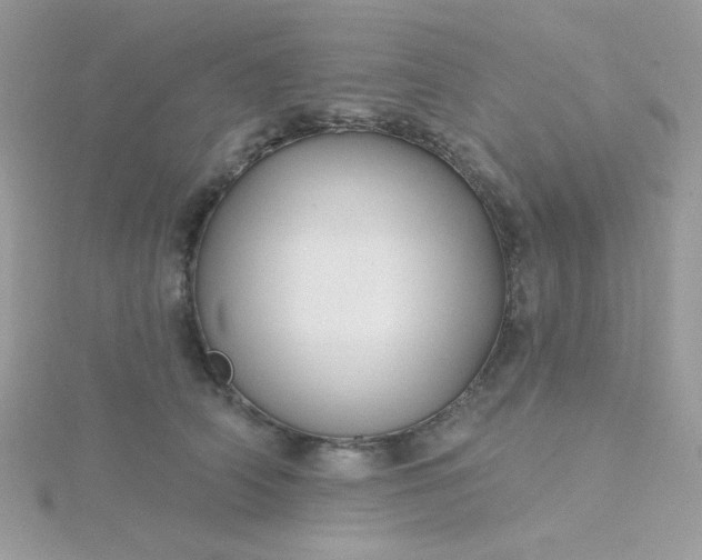 X0000115810706200911271116