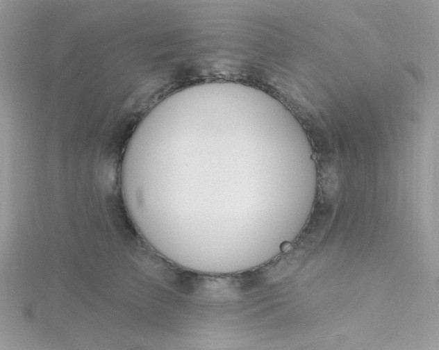 X0000115810709200911271116