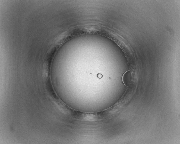 X0000115810710200911271116