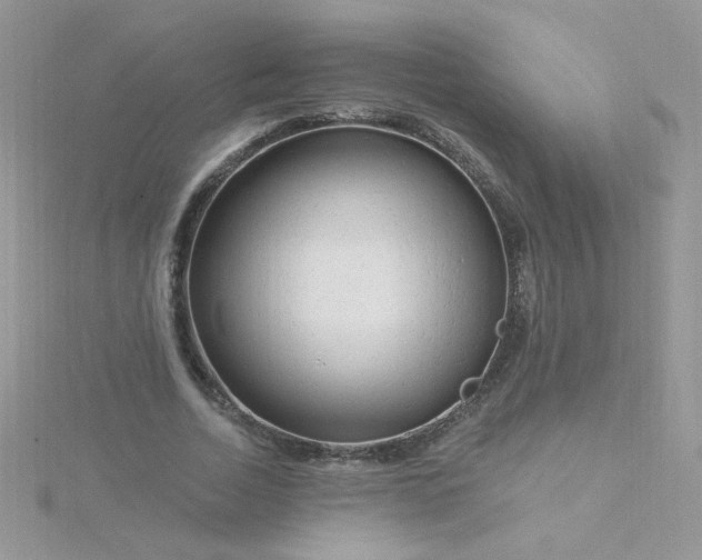 X0000115810730200911271116