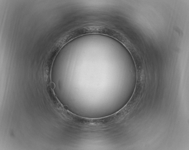 X0000115810737200911271116