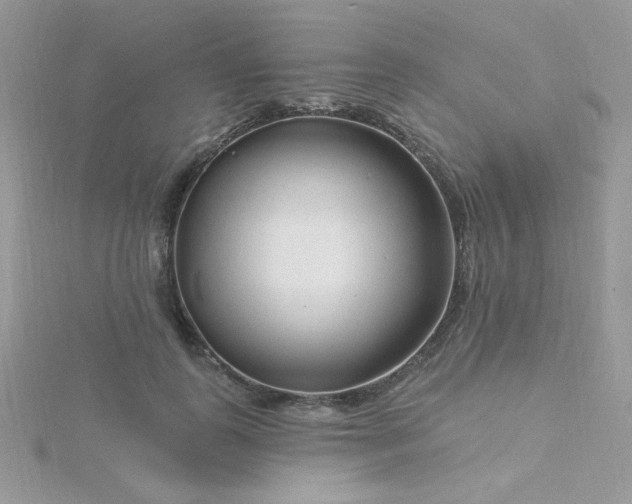 X0000115810747200911271116