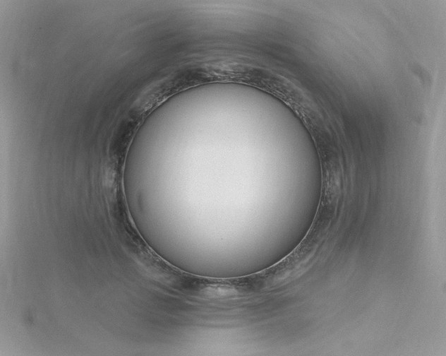 X0000115810749200911271116