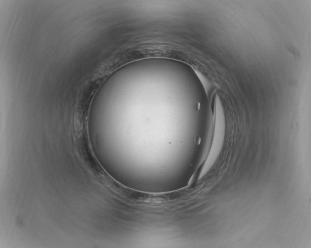 X0000115810751200911271116