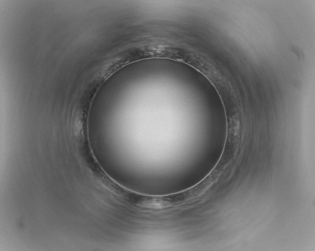 X0000115810754200911271116