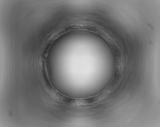 X0000115810758200911271116