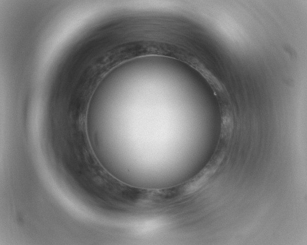 X0000115810765200911271116