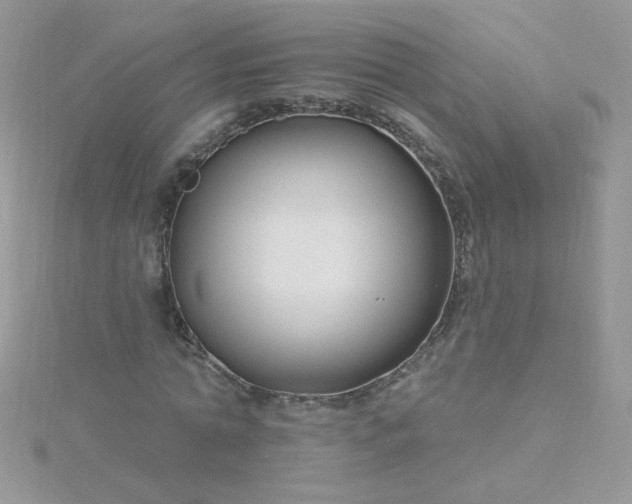 X0000115810774200911271115