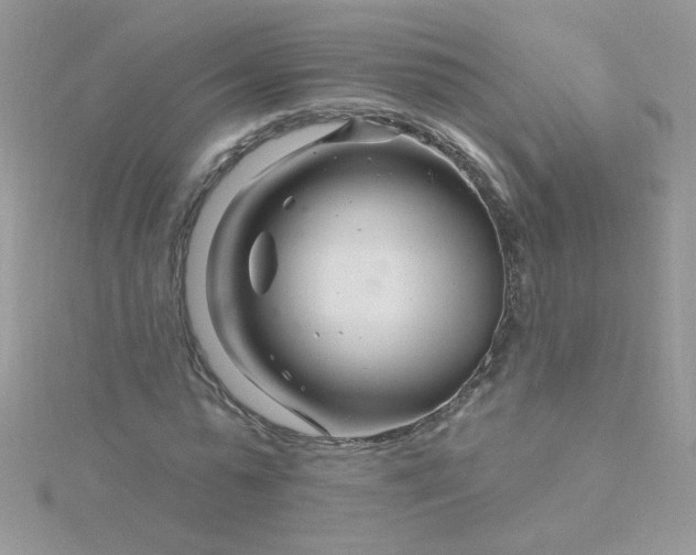 X0000115810775200911271115