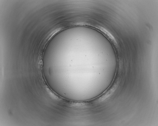 X0000115810801200911271115