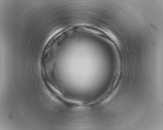 X0000115810806200911271115