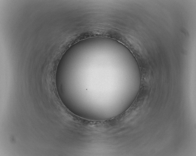 X0000115810817200911271114
