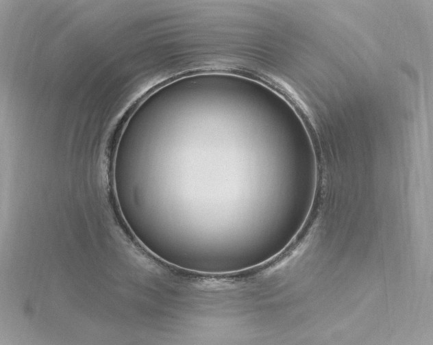 X0000115810835200911271115