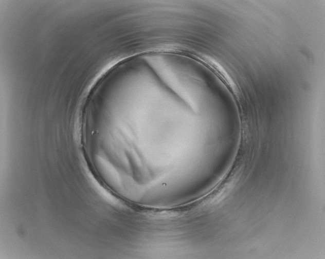 X0000115810851200911271115