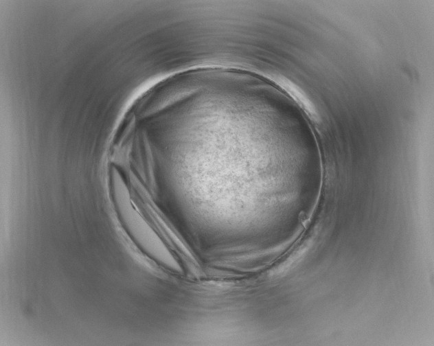 X0000115810854200911271115