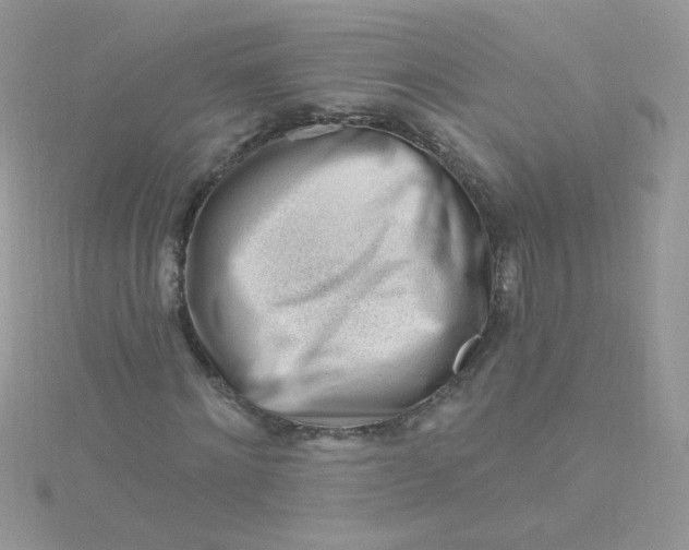 X0000115810868200911271114