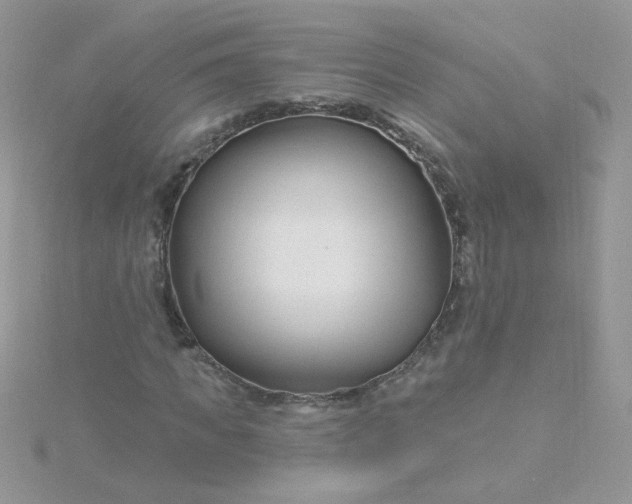 X0000115810917200911271113