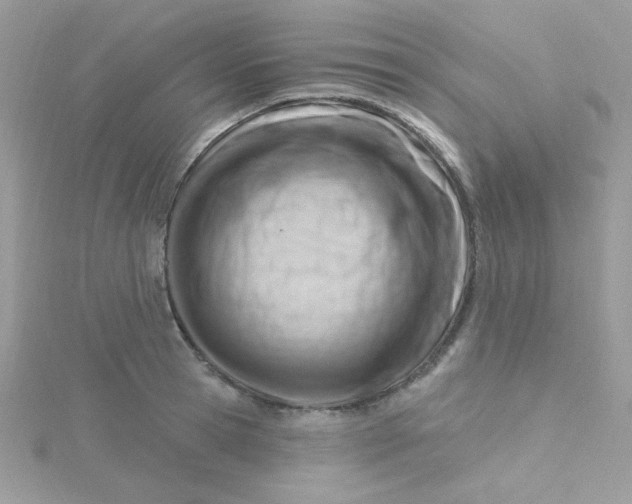 X0000115810945200911271113