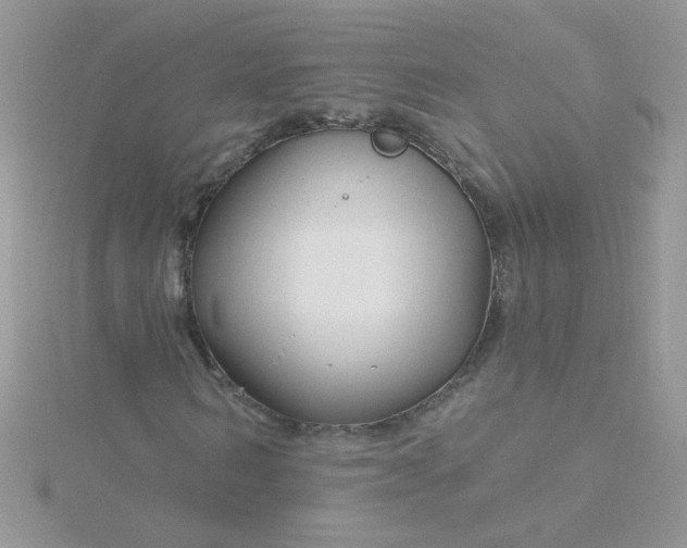 X0000115810962200911271113