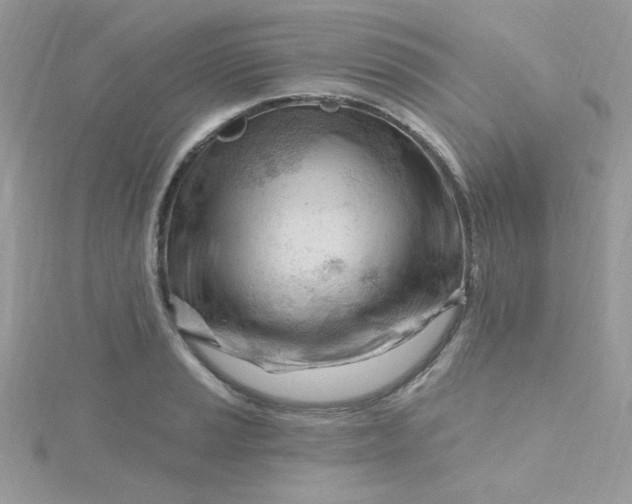 X0000115811037200911271112